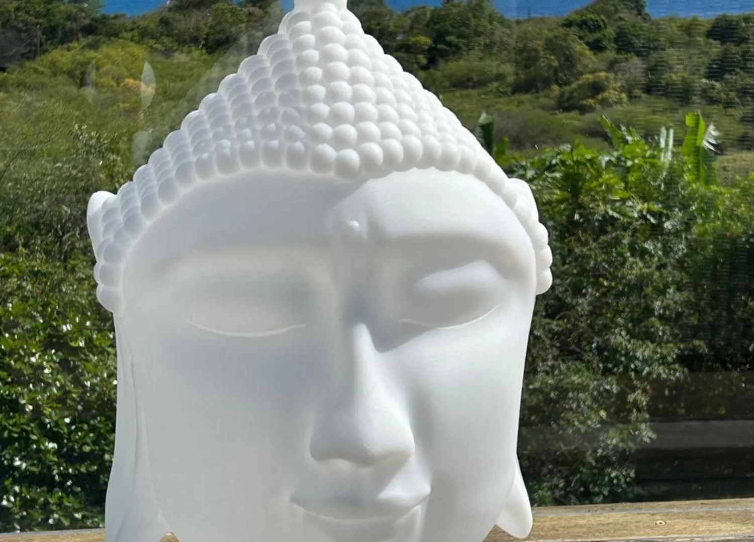Villa L'Hacienda: Seaside Luxury with Pool, Jacuzzi & Garden Saint-Francois  Guadeloupe
